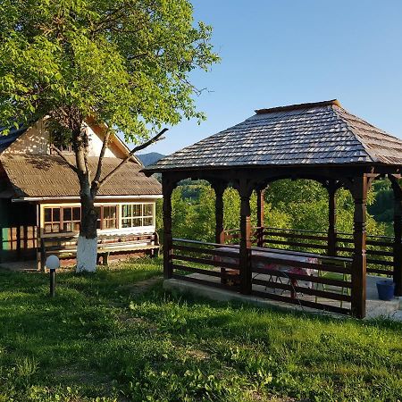 Ninga Rai Villa Poienile Izei Exterior photo