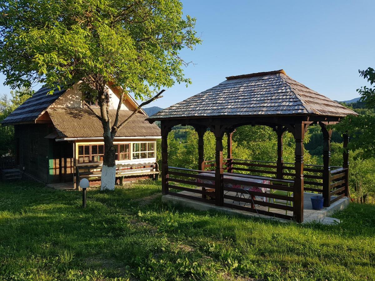 Ninga Rai Villa Poienile Izei Exterior photo
