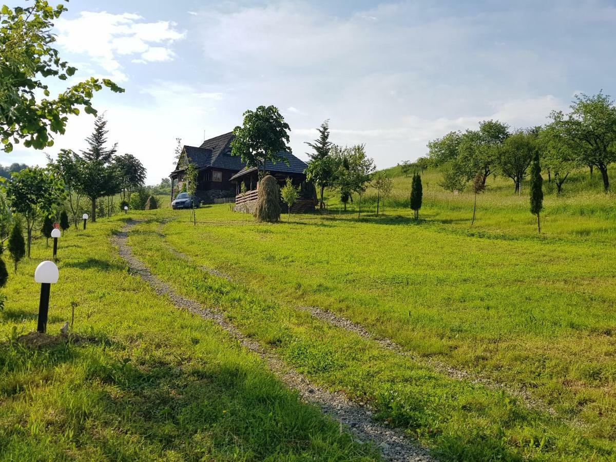 Ninga Rai Villa Poienile Izei Exterior photo
